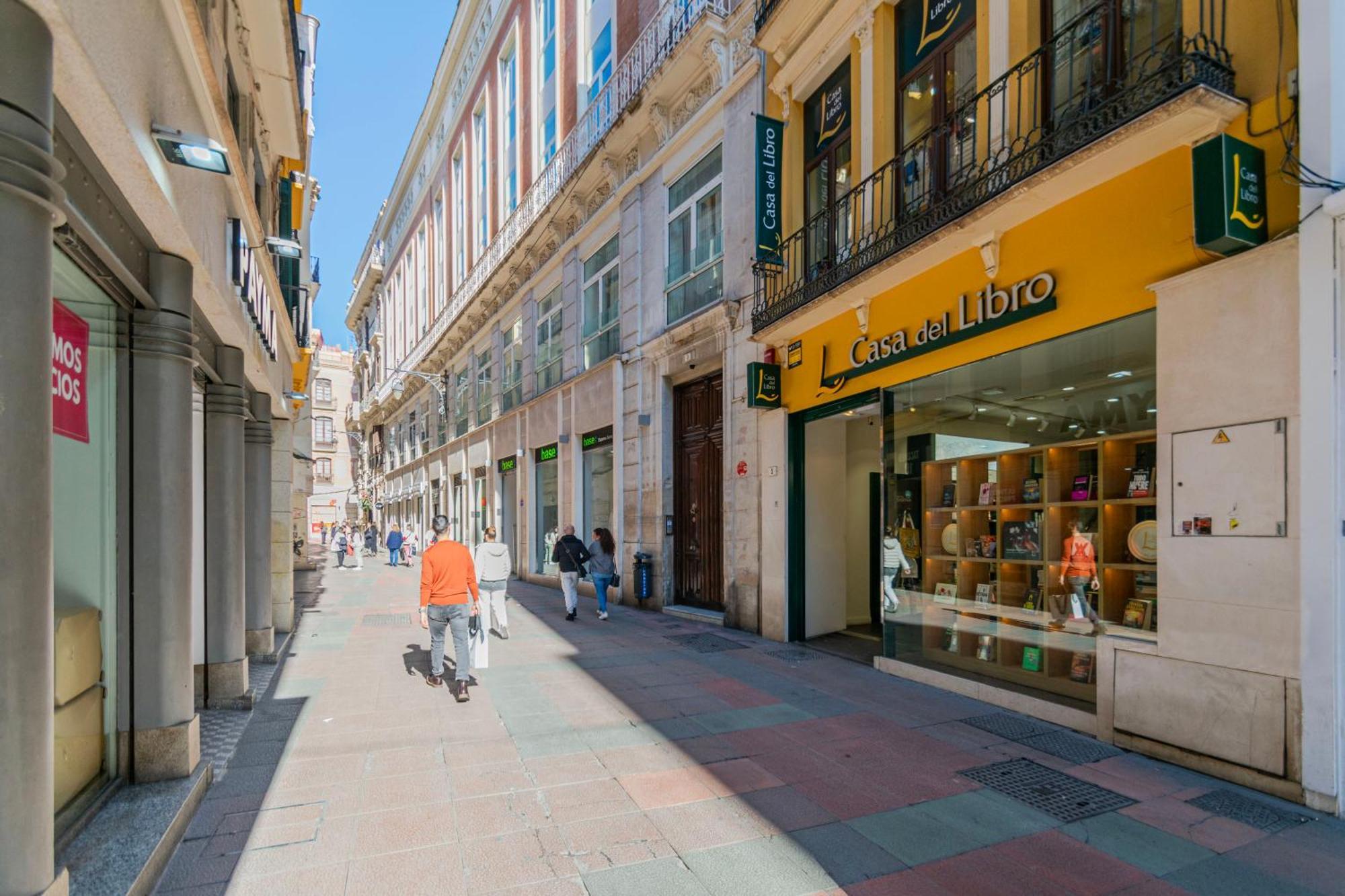Apartamento Inmalaga Luxury Loft 3